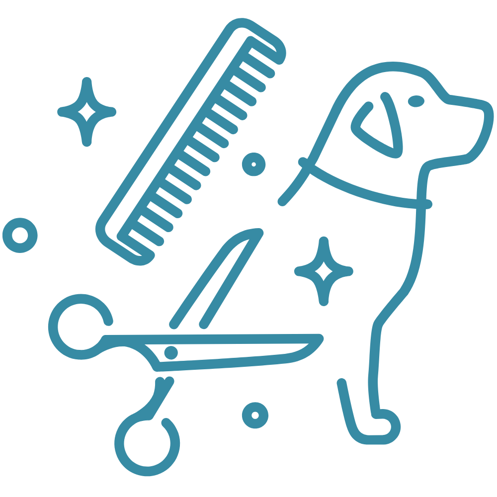 pet vaccination icon