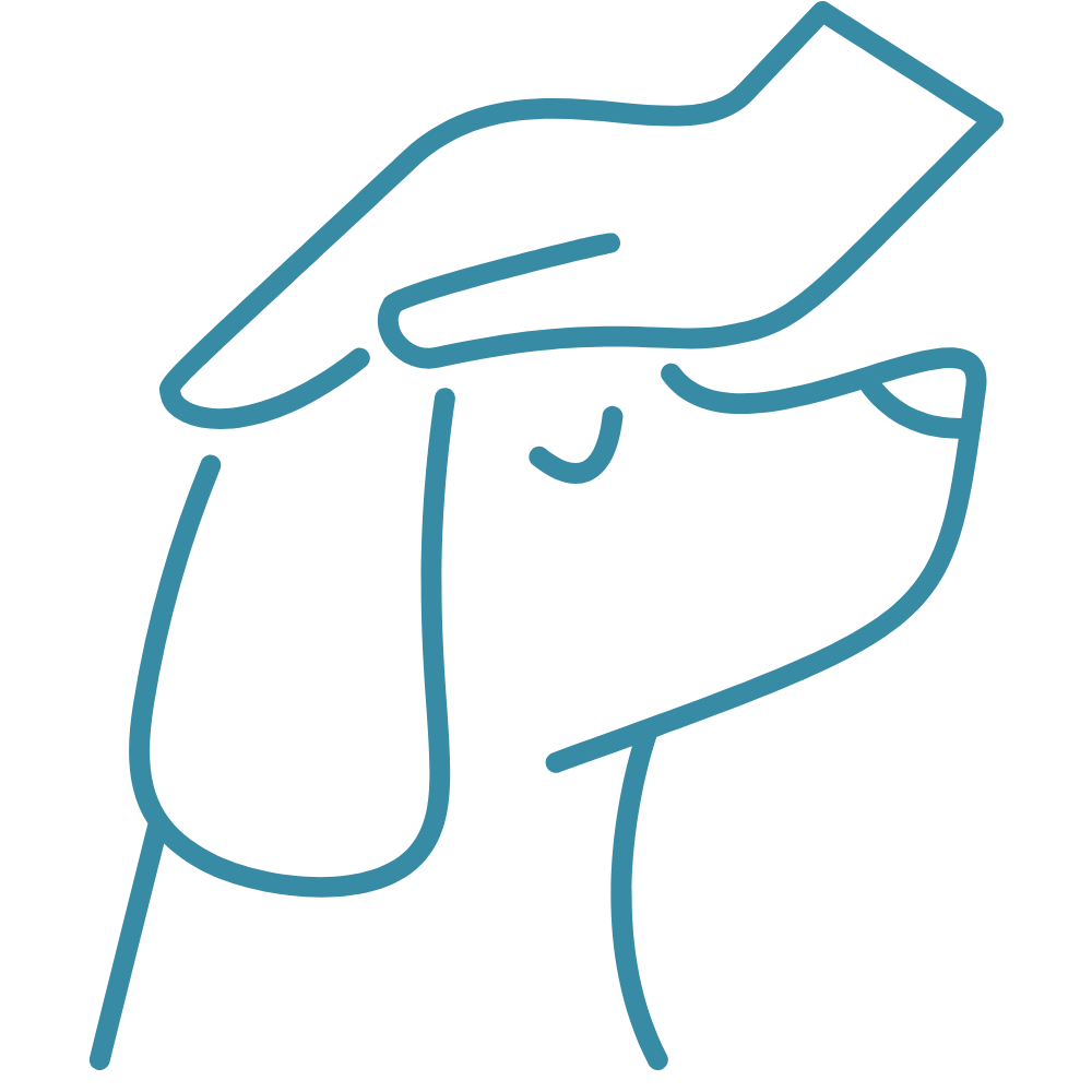 pet vaccination icon