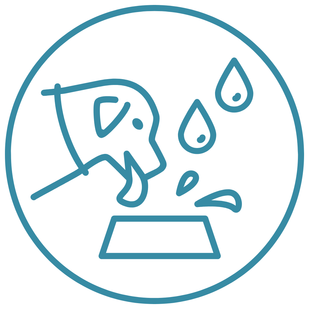 pet vaccination icon