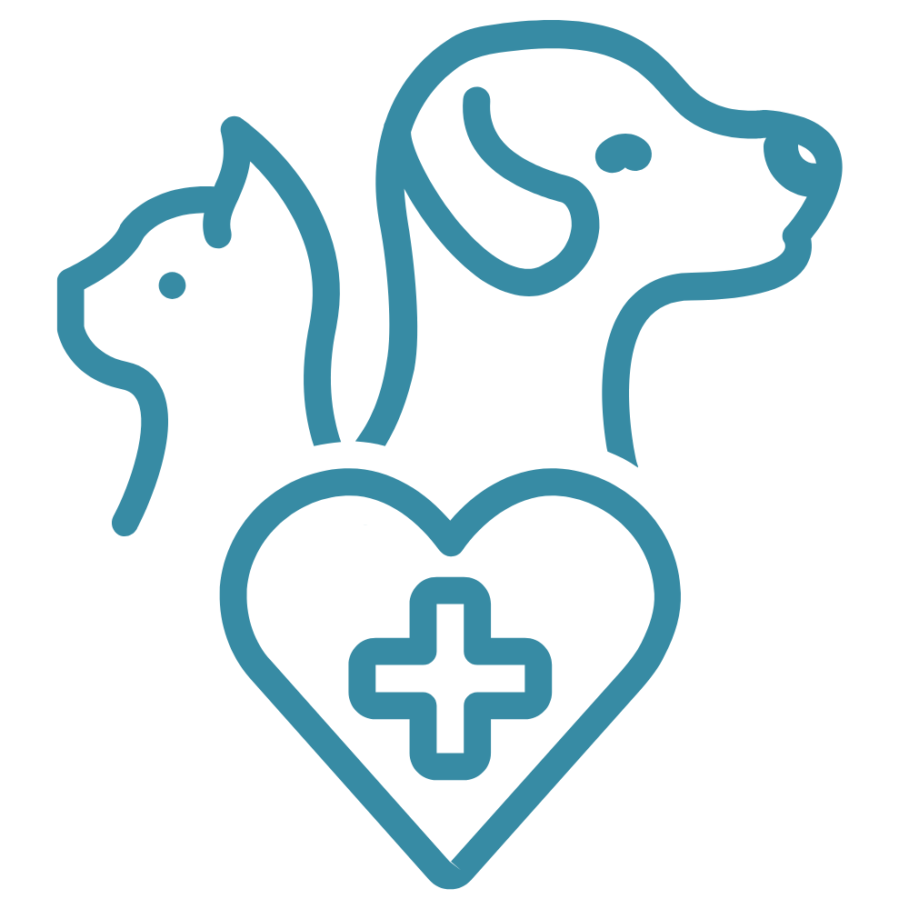 pet vaccination icon