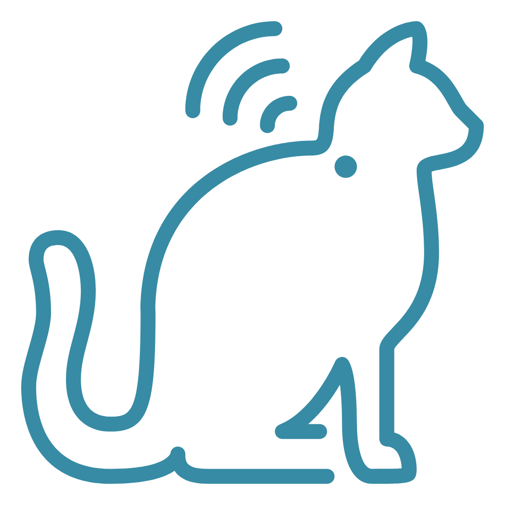 pet vaccination icon