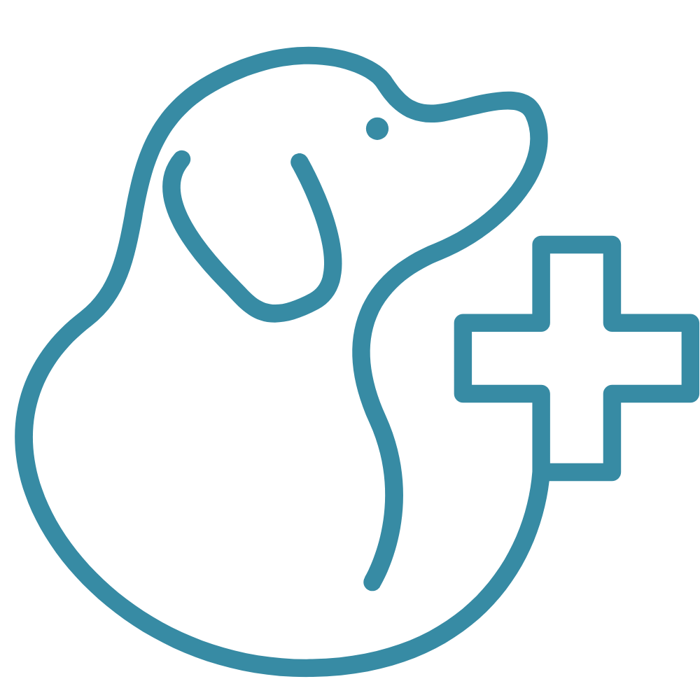 pet vaccination icon