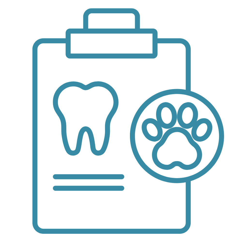 pet vaccination icon